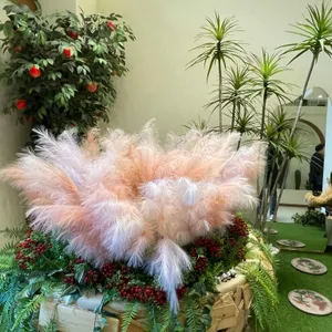 오들리샷 리뷰 사진