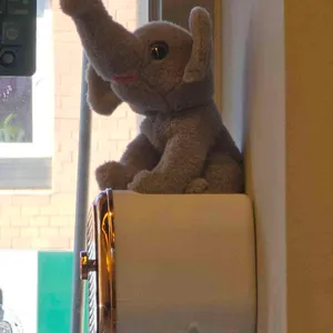 코끼리함박 리뷰 사진