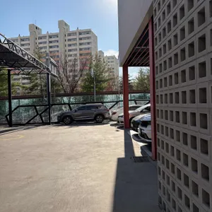 노부스테라 리뷰 사진