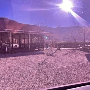 레츠고커피앤돈까스 리뷰 사진