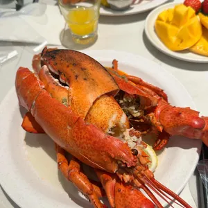 바이킹스워프 리뷰 사진