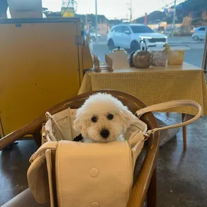 안녕,남해 Cafe 리뷰 사진