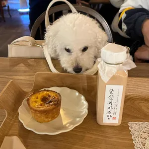 군산과자조합 리뷰 사진