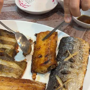 착한물고기 사진