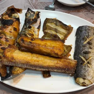 착한물고기 사진