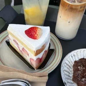 오프오 리뷰 사진