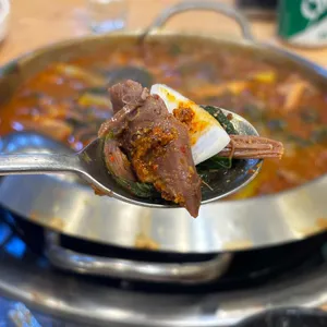 황금산흑염소 사진