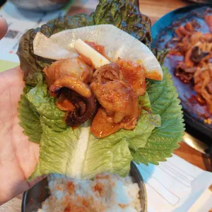 빨간쭈꾸미 사진