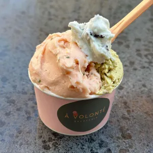 아볼롱떼 대표 사진