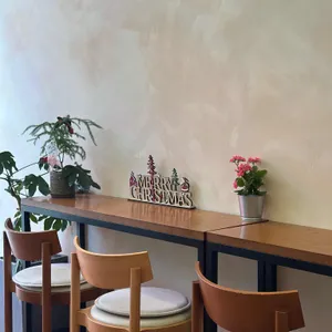 아볼롱떼 대표 사진