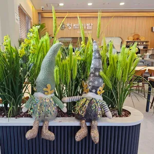 청보리밭 리뷰 사진