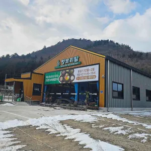 청보리밭 리뷰 사진