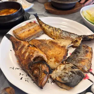 착한물고기 사진