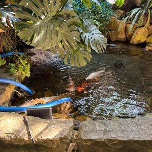 선일목장 리뷰 사진