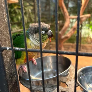 선일목장 리뷰 사진