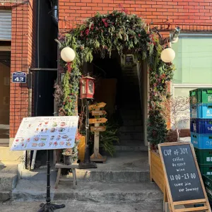 컵오브조이 리뷰 사진