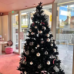 브루주아 리뷰 사진