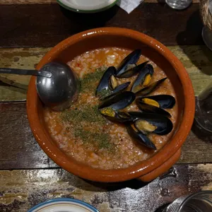 리코타파 리뷰 사진