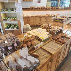 아라파파 리뷰 사진