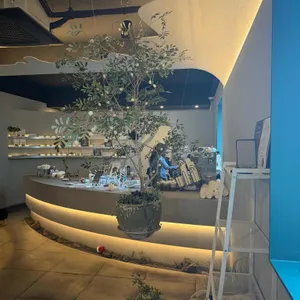 콘티뉴이티 리뷰 사진