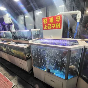 터줏대감 리뷰 사진