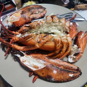 터줏대감 대표 사진