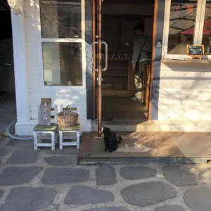 카페 모하 리뷰 사진