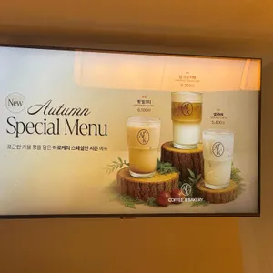 아로케 대표 사진