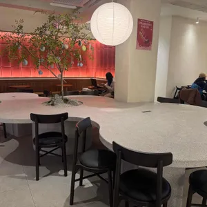 아로케 대표 사진