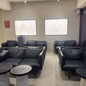 아로케 대표 사진