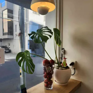 풀먹는호랑이 리뷰 사진