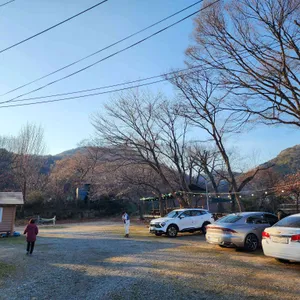 장안본가 리뷰 사진