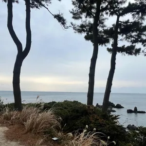 바다다 in 누바비치 리뷰 사진