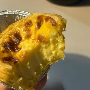 타르데마1942 리뷰 사진