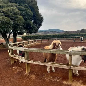 목장카페 밭디 사진 1