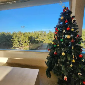 보사노바 커피로스터스 리뷰 사진