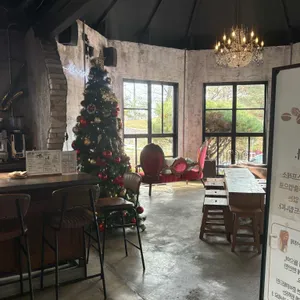 솔로투 리뷰 사진