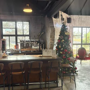 솔로투 리뷰 사진