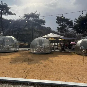 솔로투 리뷰 사진