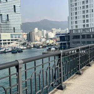 스타벅스 리뷰 사진