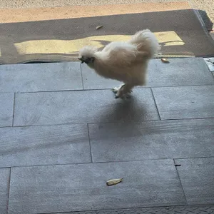 청정골 수로집 리뷰 사진