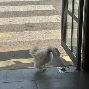 청정골 수로집 리뷰 사진