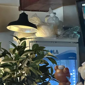 호타루 리뷰 사진