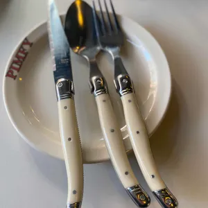 핌피 리뷰 사진