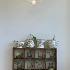 밥집콩 리뷰 사진