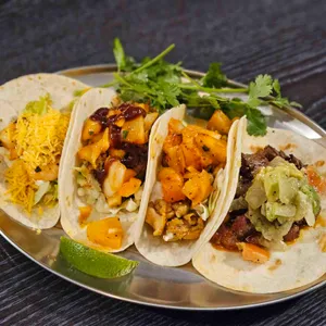 바모스 대표 사진