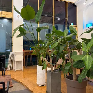 카페인모아 대표 사진