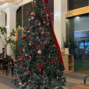 카페인모아 대표 사진