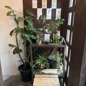 와일드그라스 리뷰 사진