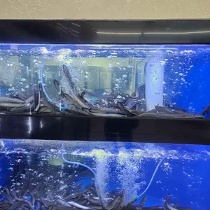 한강으로온장어 리뷰 사진